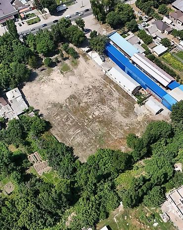 52: 52 соток, Для строительства, Красная книга, Договор купли-продажи — 3