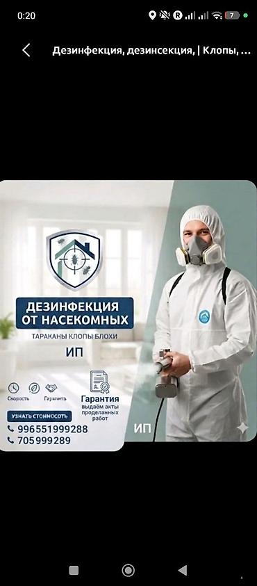 от тараканов: Дезинфекция, дезинсекция, | Тараканы, | Квартиры — 2