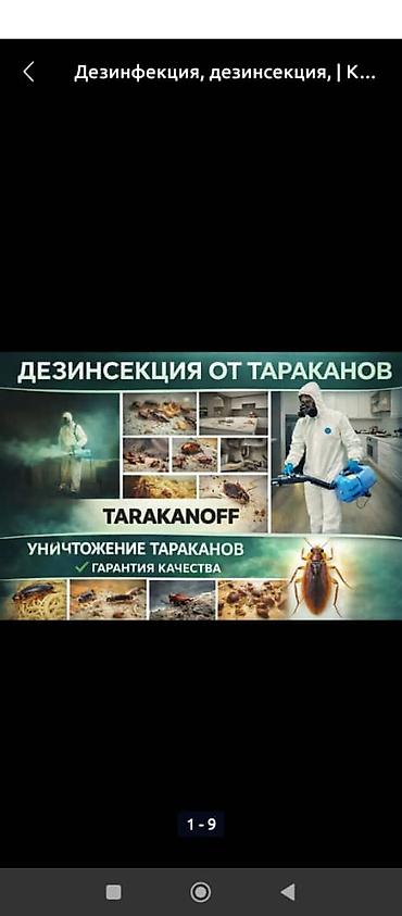плиточные работы бишкек: Дезинфекция, дезинсекция, | Муравьи, | Квартиры — 8