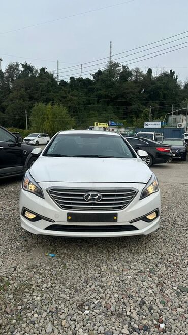 продаю хюндай саната: Hyundai Sonata: 2019 г., 2 л, Автомат, Газ, Седан