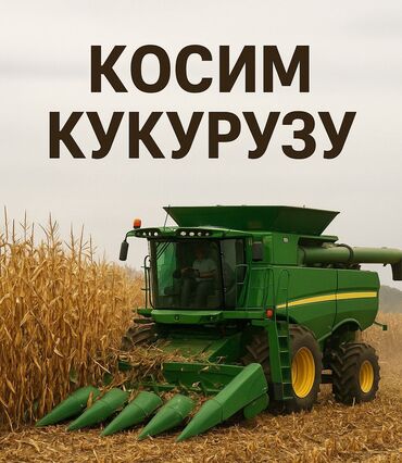 ищу заказы на пошив: Услуги по уборке кукурузы - Профессиональная жатка для кукурузы