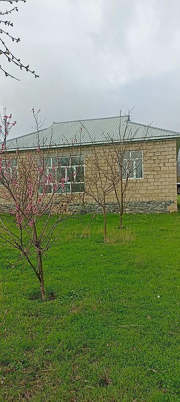 bileceri dasinmaz emlak: Qəbələ, 100 kv. m, 5 otaqlı, Hovuzsuz, İnternet — 8