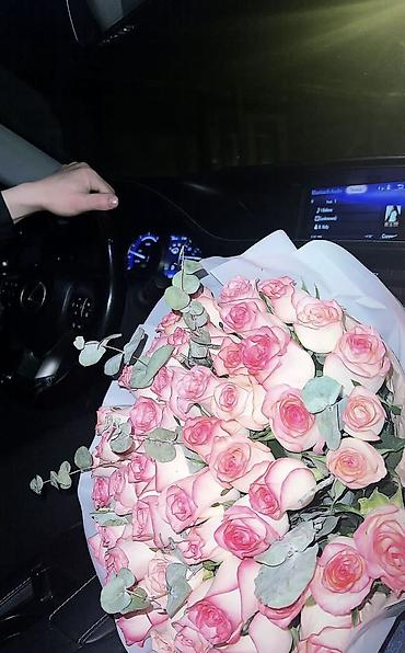 Трезвый водитель