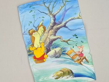 Home Decor: PL - Pillowcase, 45 x 28, color - Multicolored, condition - Very good