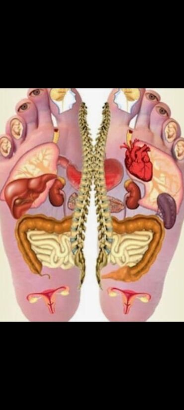 Массаж: Массаж | Остеохондроз | Консультация — 4