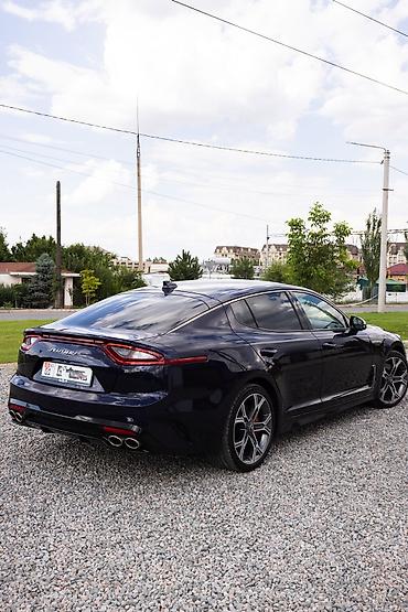 киа стрингер: Kia Stinger: 2019 г., 2 л, Автомат, Бензин, Лифтбек — 4
