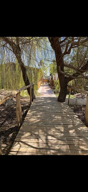 Аренда ресторанов и кафе: Сдаю кафе село Бактуу Долоноту поворот Каприз.,,на долгий срок — 10