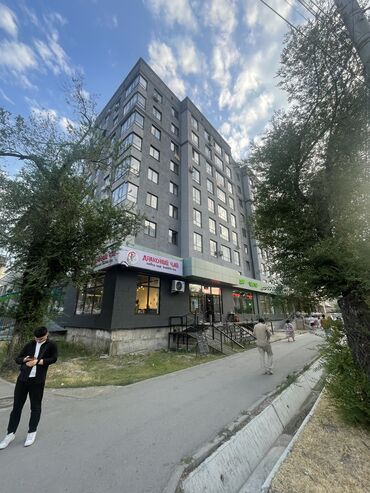 снять квартиру в районе автовокзала: 1 комната, 52 м², Элитка, 8 этаж, Евроремонт