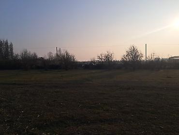 Torpaq sahələrinin satışı: 25 sot, Mülkiyyətçi — 1