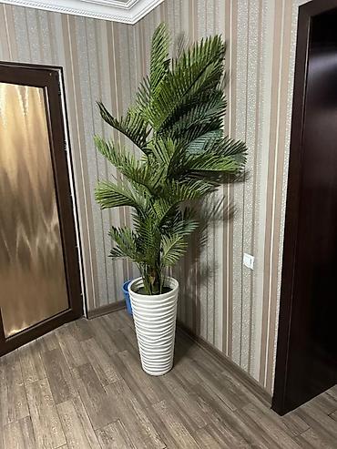 Другая мебель: Распродажа!!! Комплект мебели - Кровать с металлическим каркасом и — 15