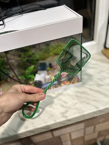 akvarium işığı: Dördbucaq akvarium, Boş, 15 l, Ödənişli çatdırılma, Ünvandan götürmə — 5