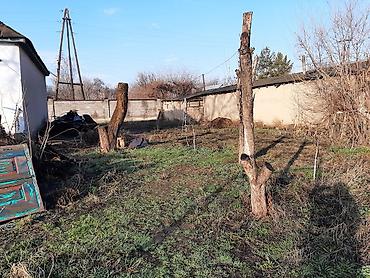 Долгосрочная аренда домов: Продаётся 2 жилых дома на одном участке в Петропавловке ул Фрунзе — 18