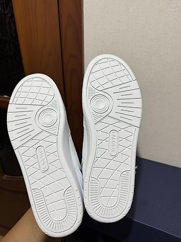 lacoste кроссовки: Мужские кроссовки, 43, Lacoste, Новый, цвет - Белый, Самовывоз — 3