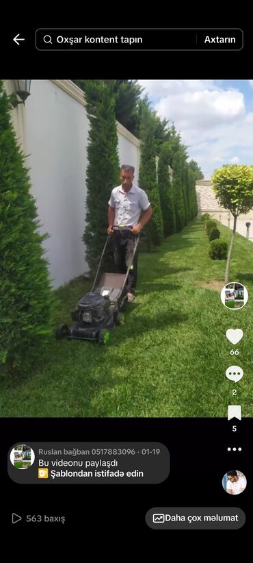 Landşaft işləri: : bağban axran işləri görürəm bütün növ ağcların gülərin əkilməsi — 7