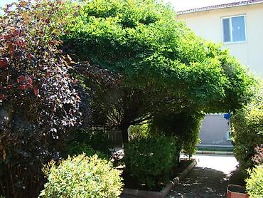 Иссык-Куль 2026: Номер, ХАН ЦО Золотые пески, Бостери, Детская площадка, Парковка, стоянка, Баскетбольная площадка — 23