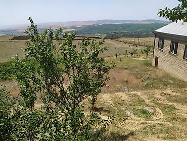 ucuz tap torpaq: Şamaxı r. Meysəri kəndi,çox prestijni yerdədir. 10 sotun içində orta — 2