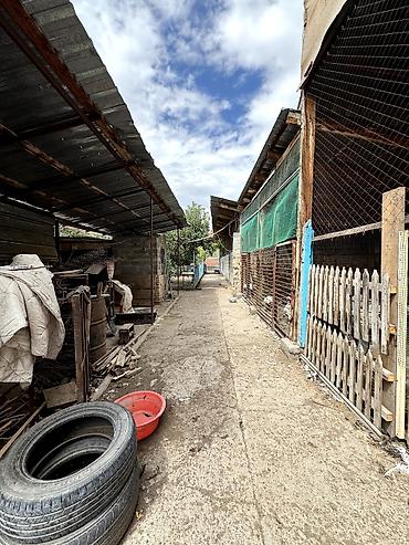село ленинск: 📌В селе Петровка срочно продаётся дом на участке 40 соток, длина — 8