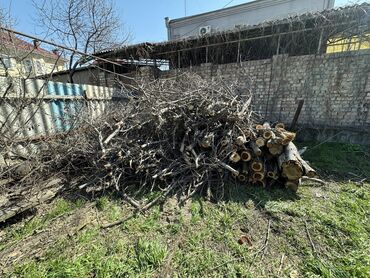 дрова с доставкой: Дрова Самовывоз