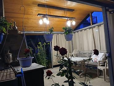 d4 50: 2 otaqlı, 62 kv. m, Yeni təmirli — 3