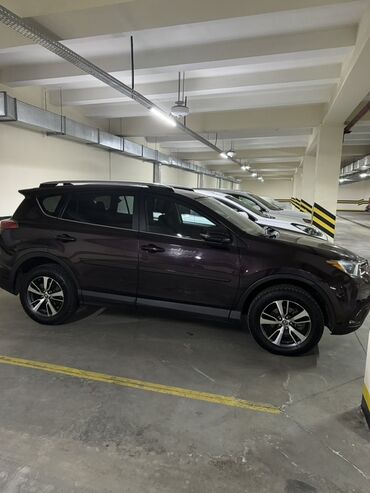 Toyota: Toyota RAV4: 2016 г., 2.5 л, Автомат, Бензин, Кроссовер — 2