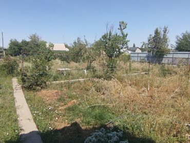 дом в чон арыке: Для сельского хозяйства