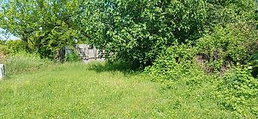 Bağ evlərinin satışı: Göyçay, 100 kv. m, 2 otaqlı, Hovuzsuz — 9