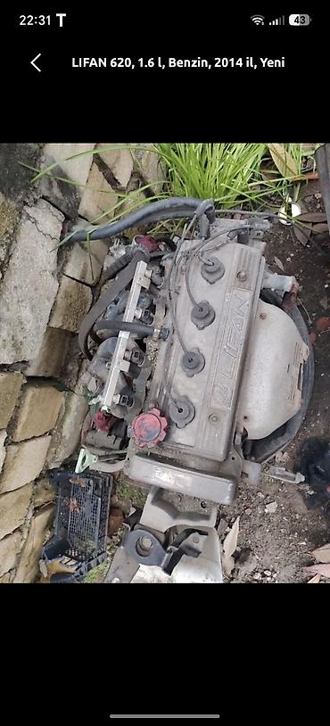 dayun motor: LIFAN 620 üçün benzinli mühərrik komplekti koropkasida var butun — 1