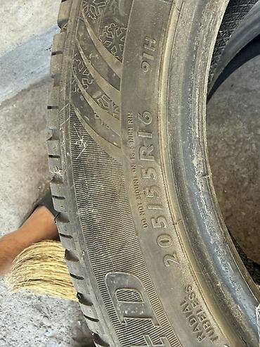 Зимние шины 205/55 R16 91H, бескамерные (Radial Tubeless). Цена за 2 — 1