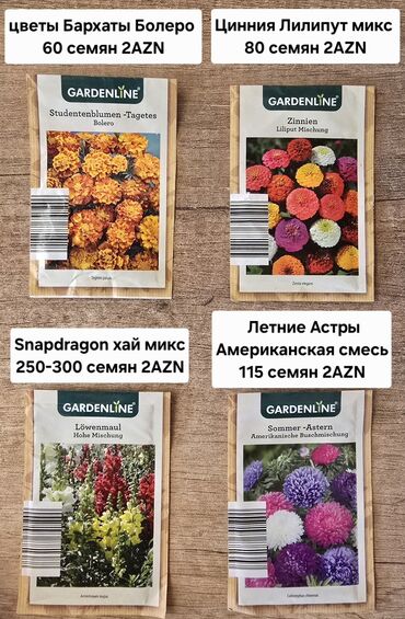 zefir bitkisi: Müxtəlif növ çiçək toxumları. Hər paketdə şəkildə göstərilən sayda