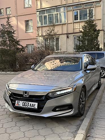 Honda: Honda Accord: 2019 г., Седан — 3