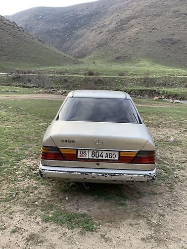 smart open: Mercedes-Benz W124: 1989 г., 2.9 л, Дизель — 4