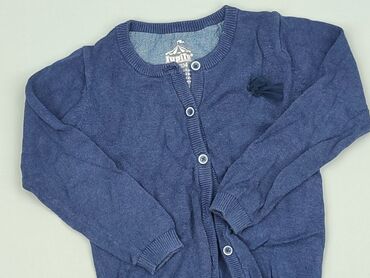 Sweater, Lupilu, 3-4 years, 98-104 cm, condition - Very good