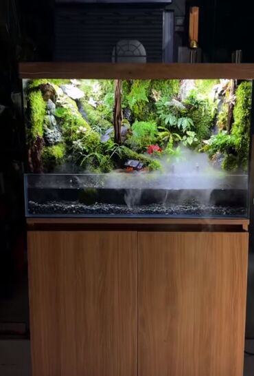 Akvarium aksessuar və ləvazimatları: Su canlıları sqxlamaq üçün uyğumdur. Sistem 24 və 12 volt enerji ilə — 7