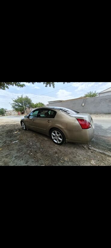 Nissan: Nissan Maxima: 3.5 l | 2003 il Sedan — 11