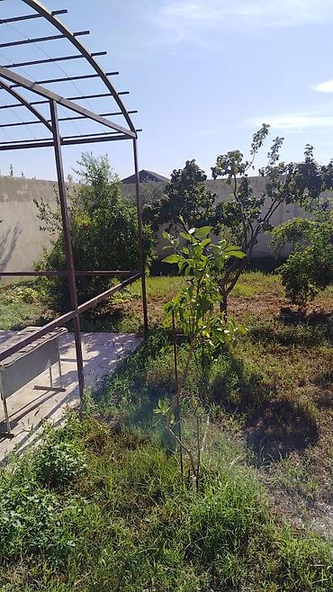 Продажа дач: Satılır: Məştağada bağ evi və torpaq sahəsi satılır -10 sot torpaq və — 4