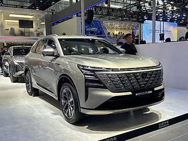 chery icar: Lixiang L8: 2025 г., Кроссовер — 4