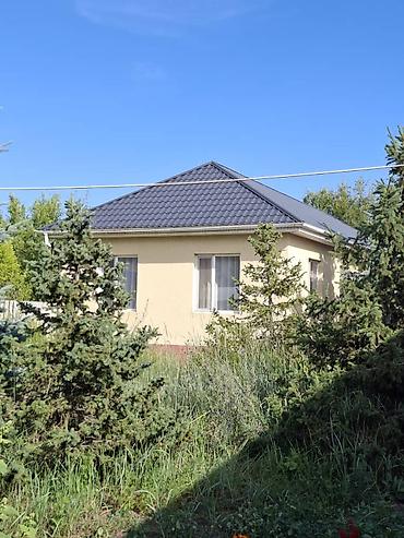 50 соток, Курулуш, Кызыл китеп, Сатып алуу-сатуу келишими — 3