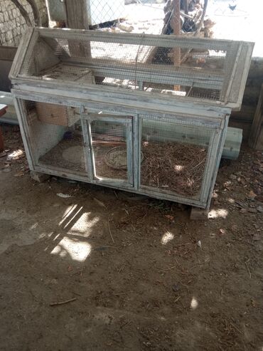 satiliq inekler: Qefes satilir en 70 sm. uzunu 1.40. hun 1 metr unvan Ramana