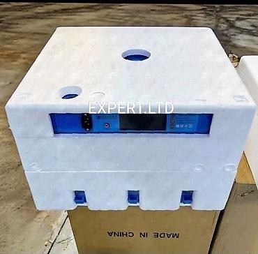 inkubator cucesi: 100 yumurta, Çin, Fabrik istehsalı, Tam avtomat, Bütün növ quşlar üçün — 4