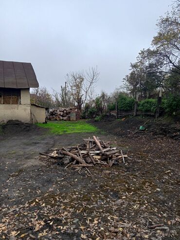 Həyət evləri və villaların satışı: Həyətyanı torpaq sahəsi və yaşayış evi - Daş hasarla əhatələnmiş — 4
