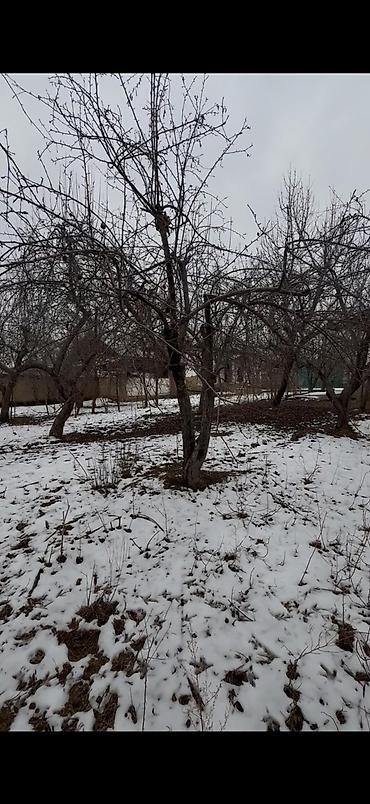 Продажа коттеджей и домов: Окуу жана окуу ❗ жакшы бада жер үй сатылат адрес Жалал-Абад шаарында — 13