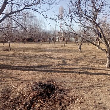 Продажа участков: 25 соток — 13