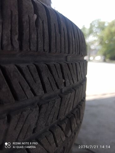 фура рено т: Шины 215 / 60 / R 16, Лето, Б/у, Комплект, Легковые, Китай, Maxxis