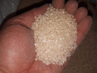 Yarmalar və paxlalar: Ağdaş düyüsü – yerli, tam orqanik məhsul. Öz kəndimizin məhsuludur — 8