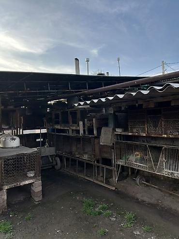 Продажа коттеджей и домов: Продается дом в Маевке. Хороший участок, есть новый фундамент на 120 — 22