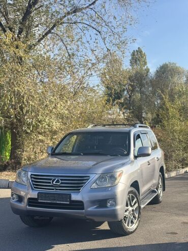 шины на внедорожник: Lexus LX: 2008 г., 5.7 л, Автомат, Газ, Внедорожник