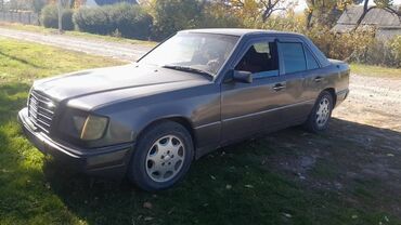 Mercedes-Benz: Mercedes-Benz : 1993 г., 2.5 л, Механика, Дизель, Седан