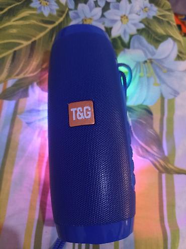 Динамики и колонки: Компактная беспроводная колонка T&G в синем корпусе. Оснащена — 4