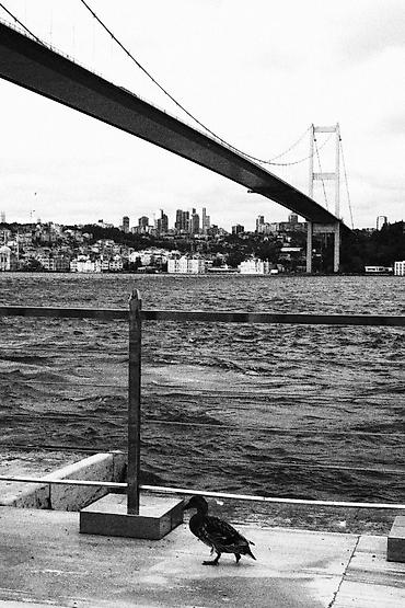 Фотоаппараты: Продаю Canon R10 📸 Состояние отличное,пользовалась сама, очень — 10