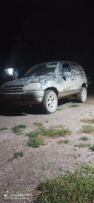 мото сатылат: Chevrolet Niva: 2003 г., 1.7 л, Кол менен иштөөчү, Бензин, Жол тандабас — 10